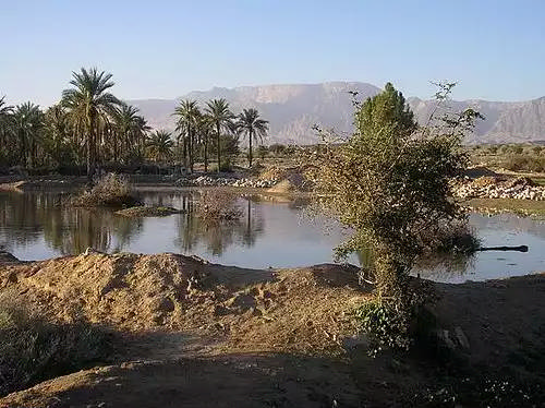 گود گز
