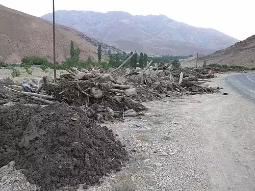 سیجان