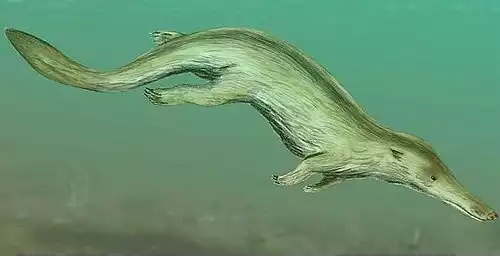 اب بازسانان