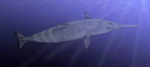 اب بازسانان