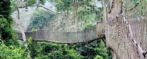 گردشگری پایدار