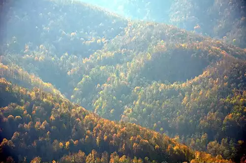 دیلمان