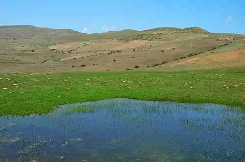 دیلمان