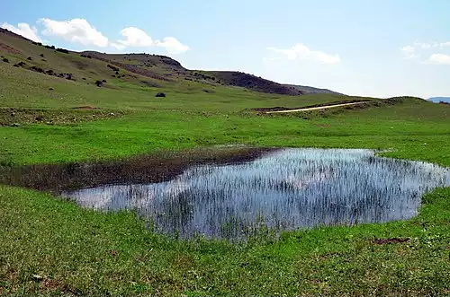 دیلمان