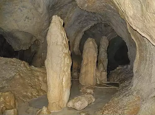 غارسنگ