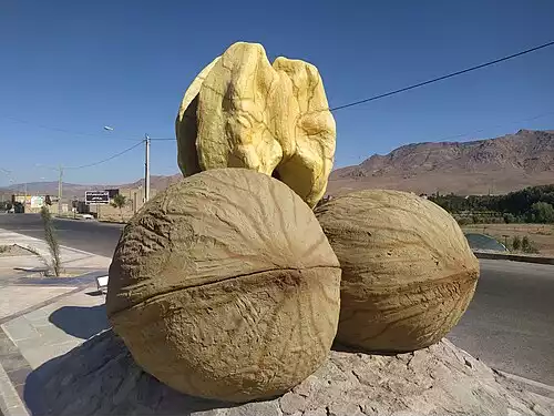 ریوش