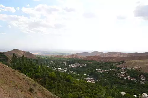 بوژان