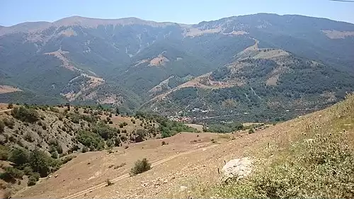 تیلک