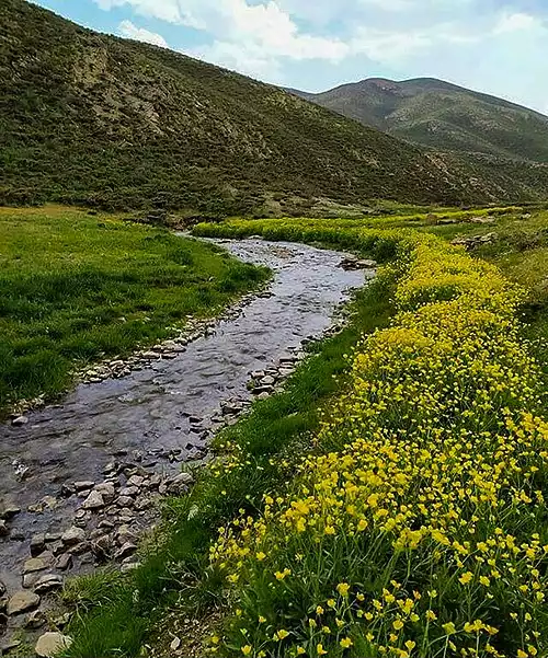 ننادگان