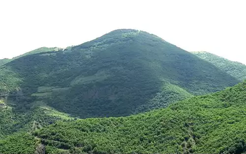 یوسفلو
