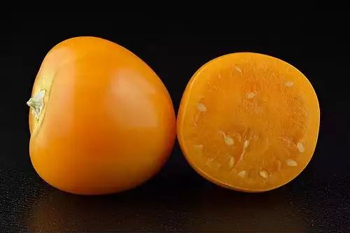کاکنه