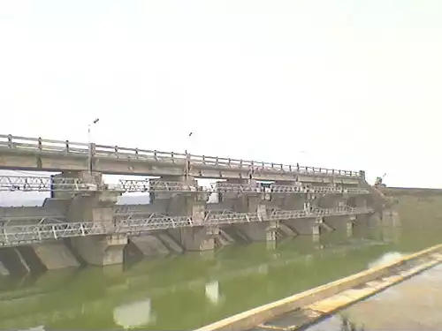 گوالیور
