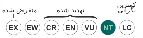 بال اتشی جیمز