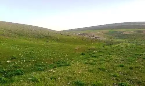 برزل اباد