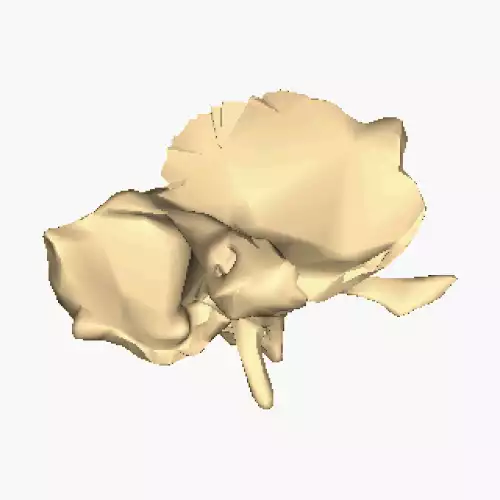 گودی زیرواره ای