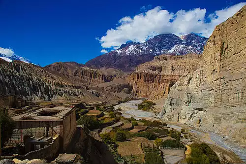 کرت بندی