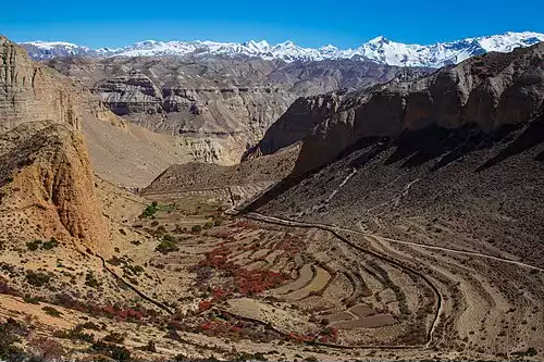 کرت بندی