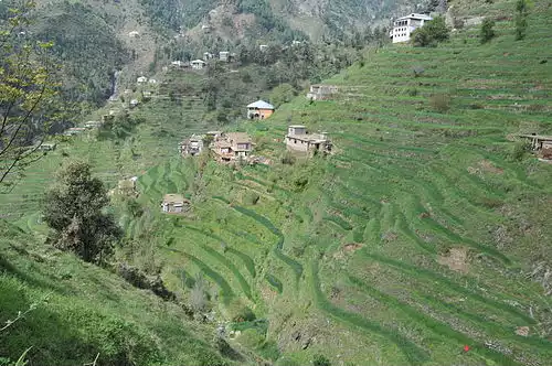 کرت بندی
