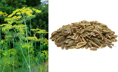 واتک یعنی چه؟