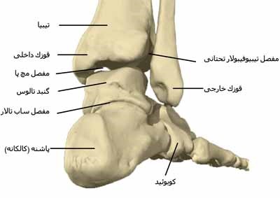 موچ پا