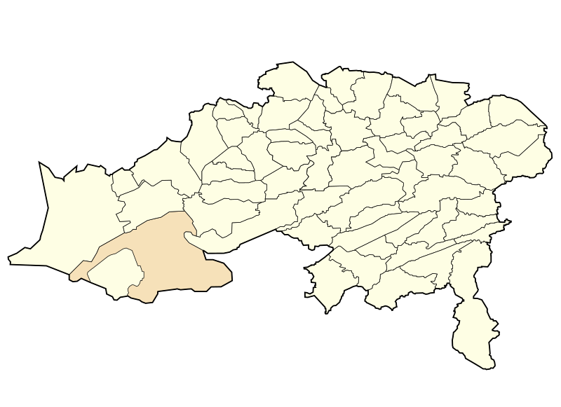 بیطام