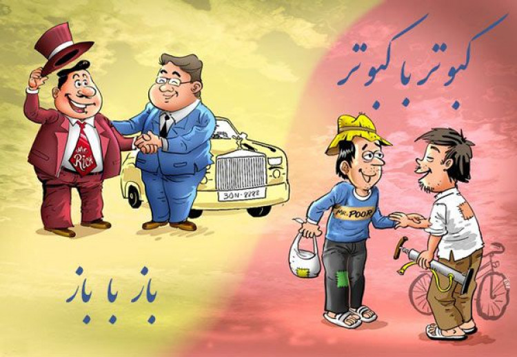 کبوتر با کبوتر باز با باز