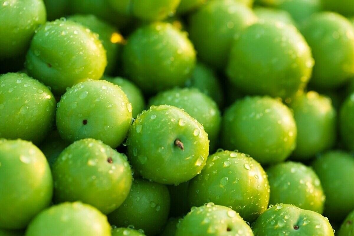 گوجه‌سبز