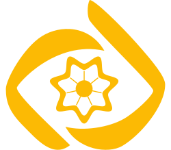 شبکه افتاب