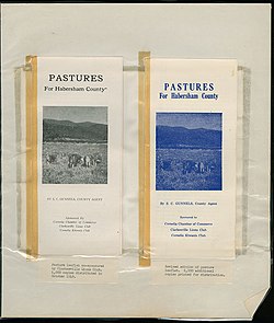 بروشور