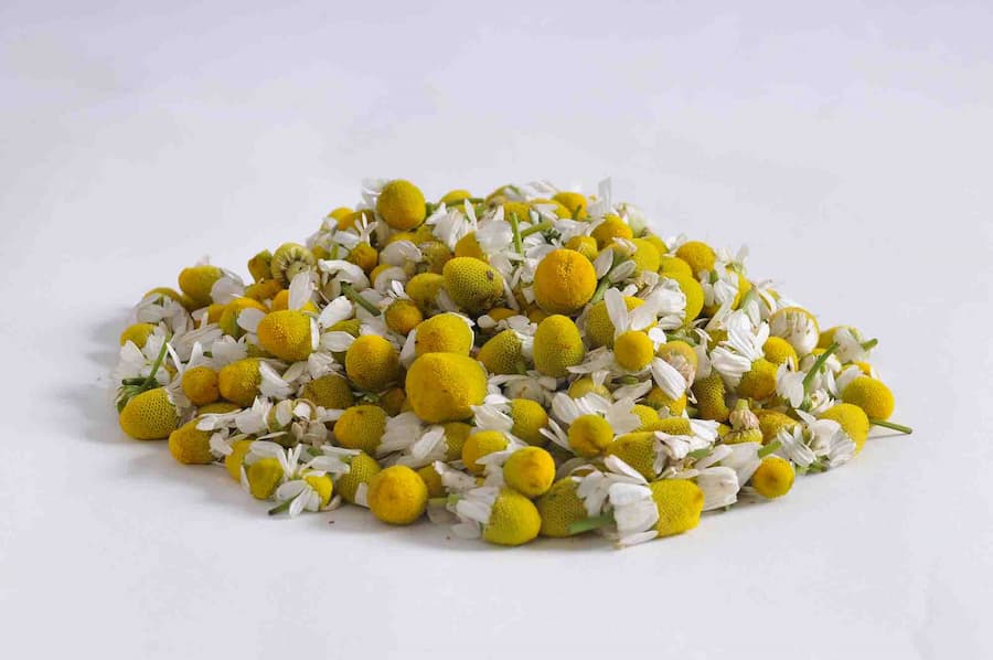 اسامیس
