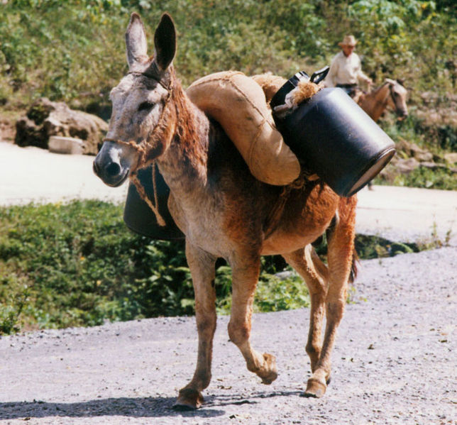 پالان قجری