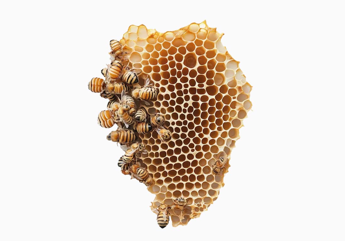 کلیزدان یعنی چه؟