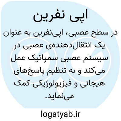 تصویر معنی اپی نفرین
