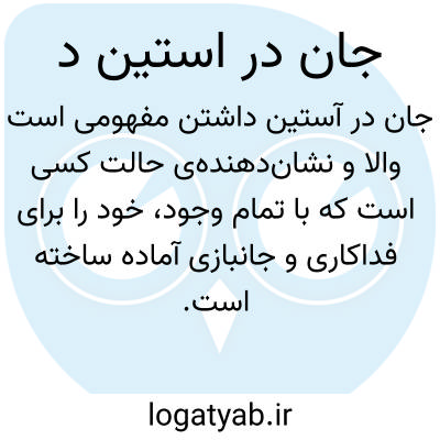 تصویر معنی جان در استین د