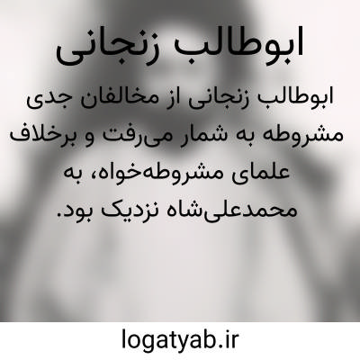 تصویر معنی ابوطالب زنجانی