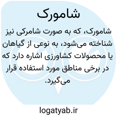 تصویر معنی شامورک