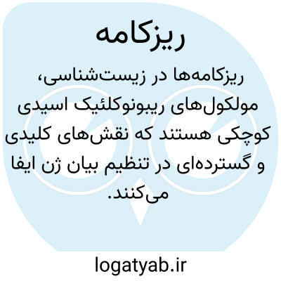 تصویر معنی ریزکامه