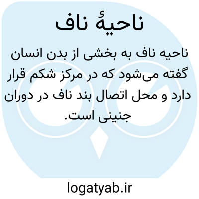 تصویر معنی ناحیۀ ناف