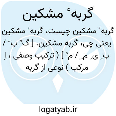 تصویر معنی گربه ٔ مشکین