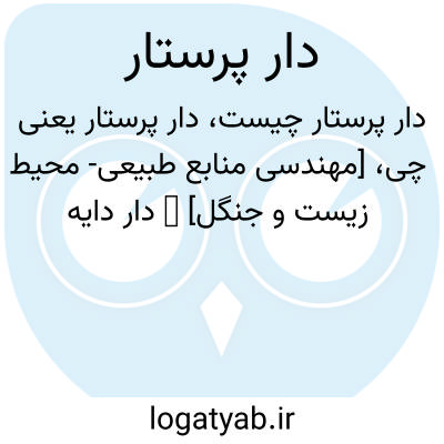 تصویر معنی دار پرستار