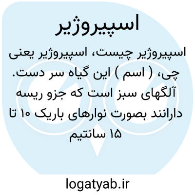 تصویر معنی اسپیروژیر