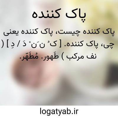 تصویر معنی پاک کننده