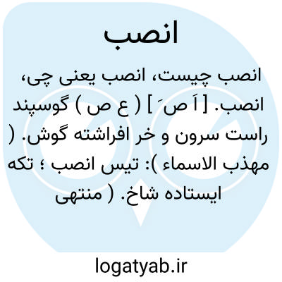 تصویر معنی انصب