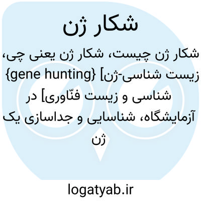 تصویر معنی شکار ژن