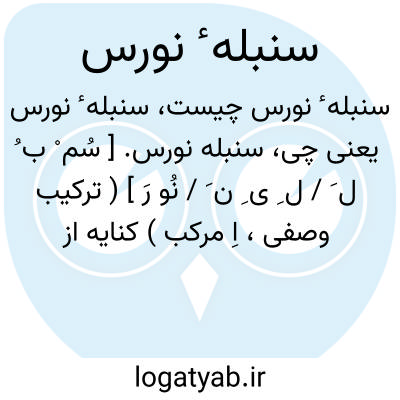 تصویر معنی سنبله ٔ نورس