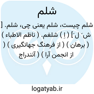 تصویر معنی شلم