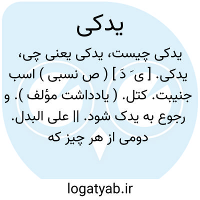 تصویر معنی یدکی