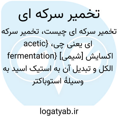 تصویر معنی تخمیر سرکه ای