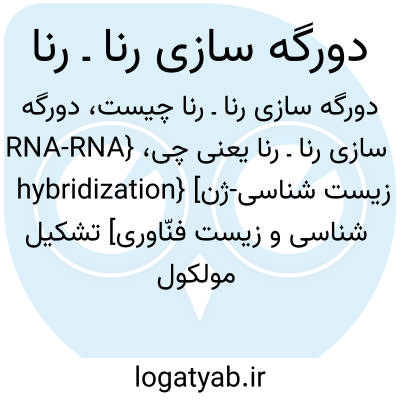 تصویر معنی دورگه سازی رنا ـ رنا