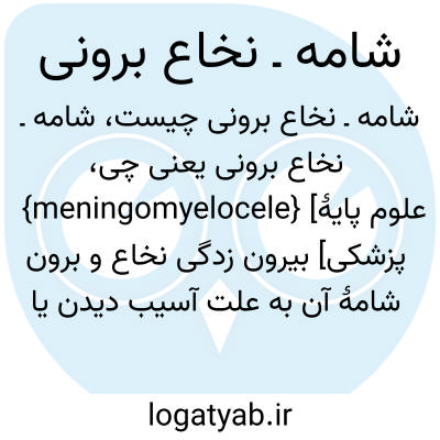 تصویر معنی شامه ـ نخاع برونی